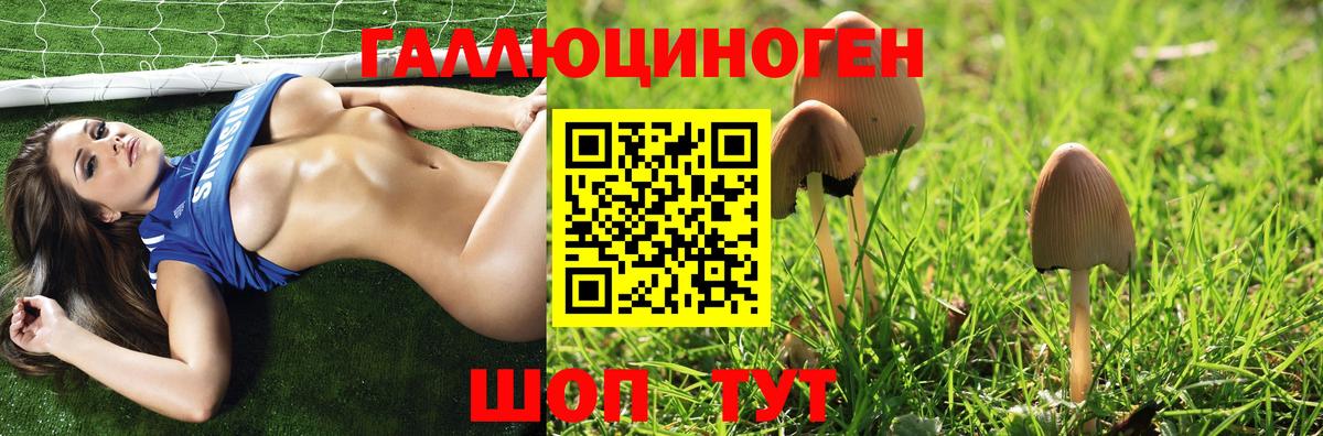 где можно купить   Вход с VPN  Усолье-Сибирское  Галлюциногенные грибы Psilocybe 